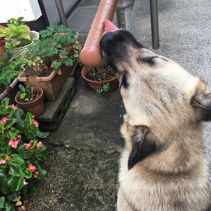 C5b418d2 ad7f 442c a4fe 1d512618cb56