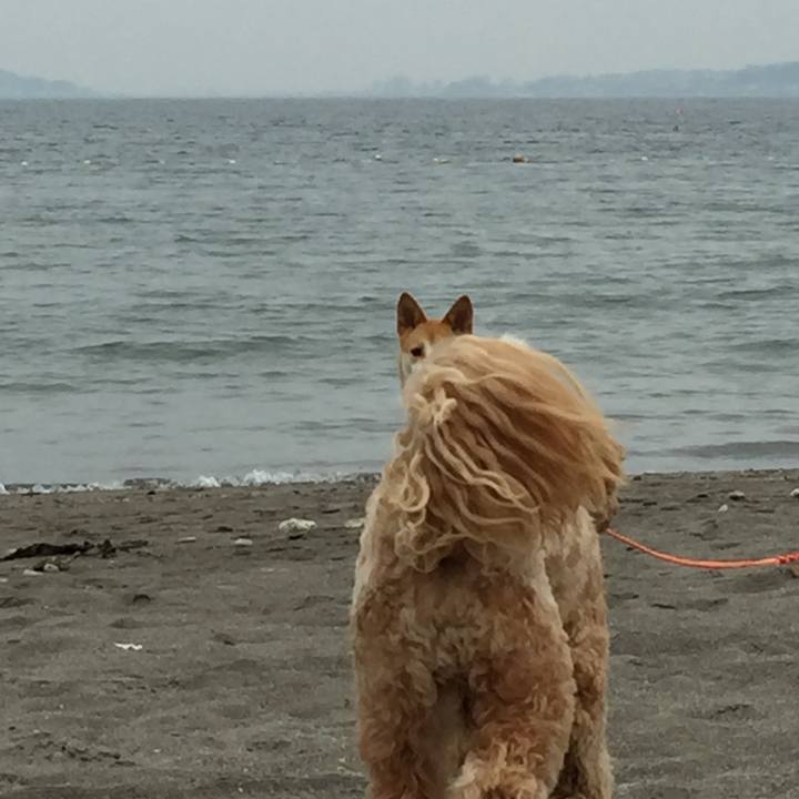 C5b427f1 1d73 40fc b2b9 7d93e465d61c