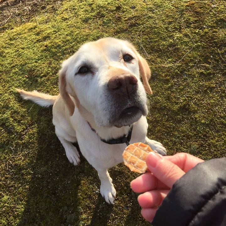 C5b46af9 8db3 474d 9fed d4f9687d93ce