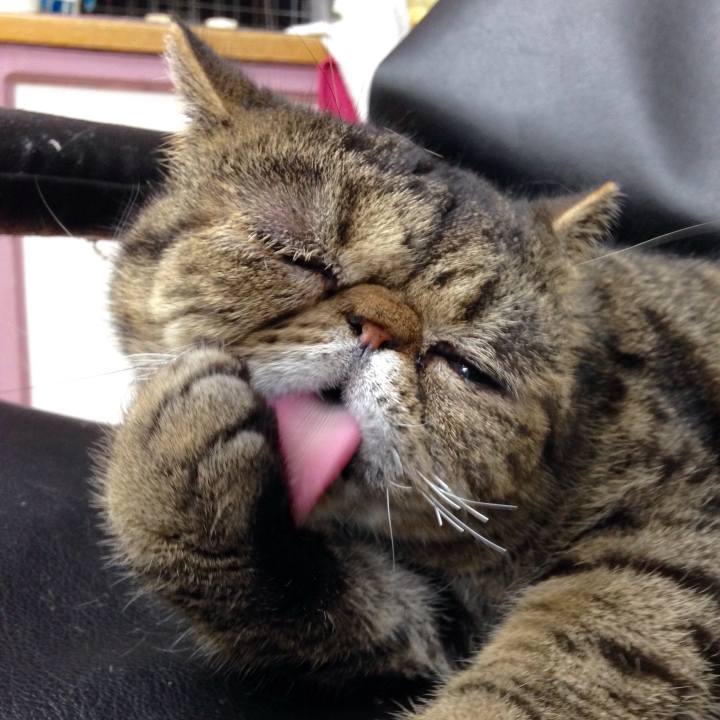 C5b4aca2 0adb 4e28 9b45 233486181986