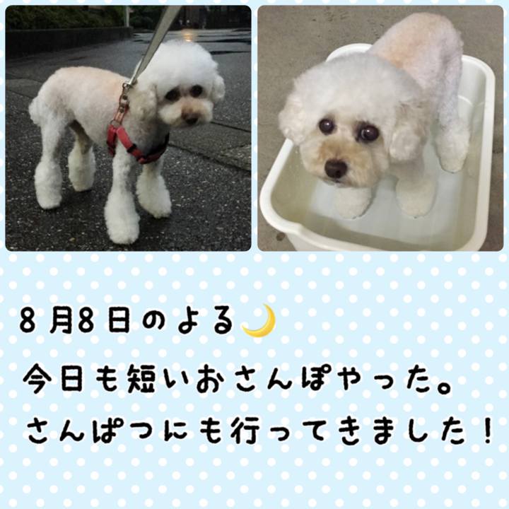 C5b59050 17a9 41f8 abc9 32f8847fcef4