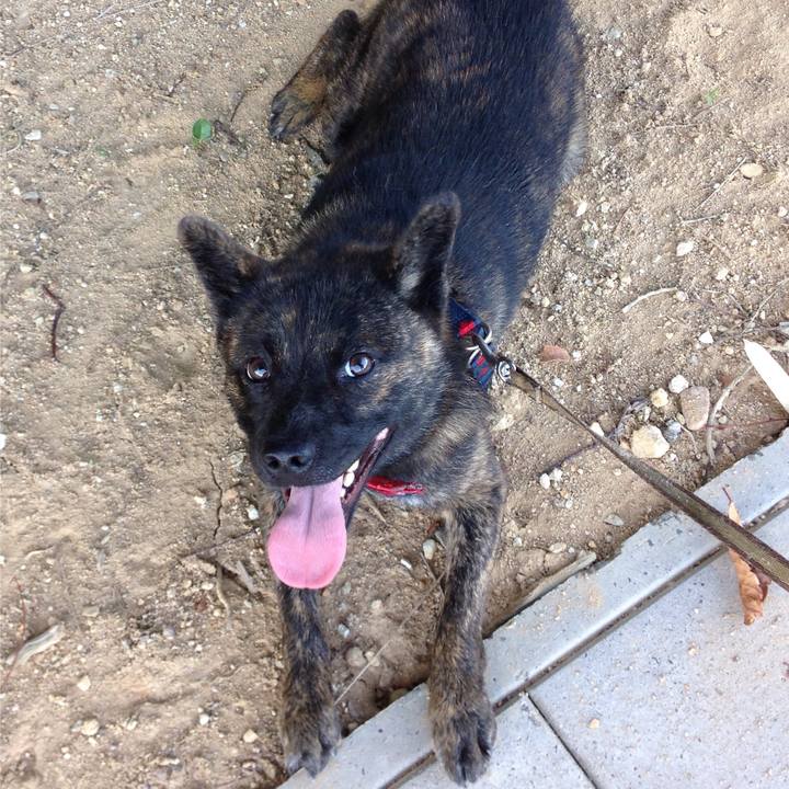 C5b6356e 760b 46ad bbab 86501f318829