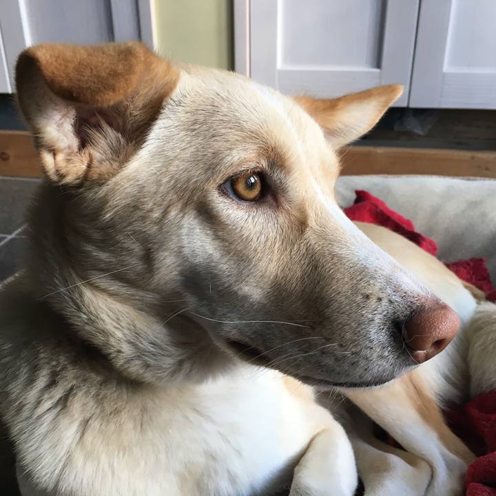 C5b65f8a c098 4780 b40d 34f10eafd9be