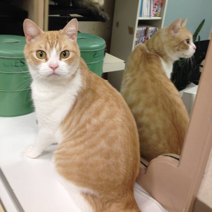 C5b685e0 f6c6 4d19 9dd4 043c4c1e0073