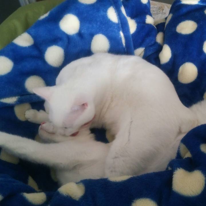 C5b6b5ca f831 43be bd18 e774e90e4668