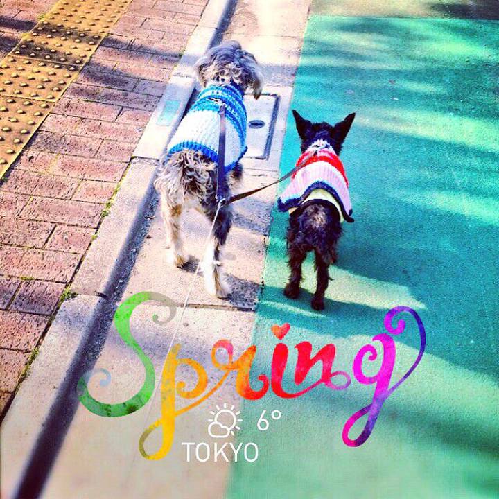 C5b6b965 99f3 4bcd bd2a 20bd7ea9f20f