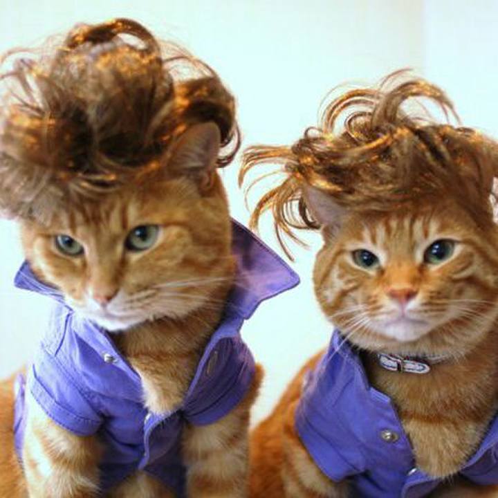 C5b6e3fd b36e 4ac9 a635 346d34a31ead