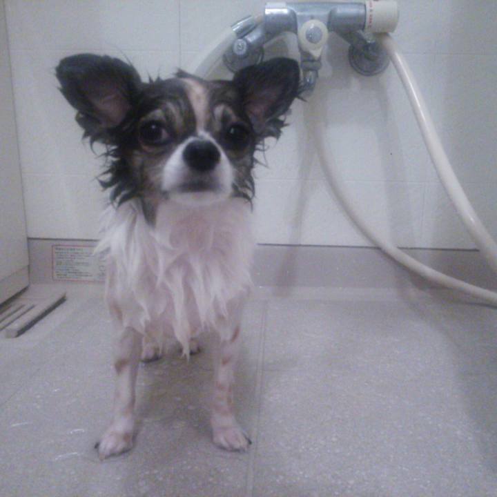 C5b7f303 b0f3 46e1 9693 0ccc4d9bd147