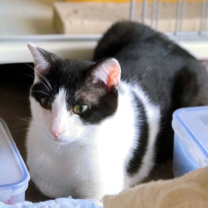 C5b7f769 fee5 40fa 9364 3b96915ffa7e