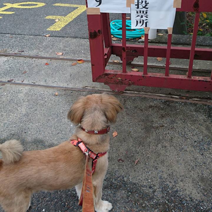 C5b80760 085a 4296 9a42 ccc4619bf2fe