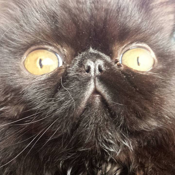 C5b83857 6a51 439c a1ba 137da434a293