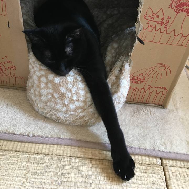 C5b8fb20 4757 459e a2b6 63e320fe9ca6