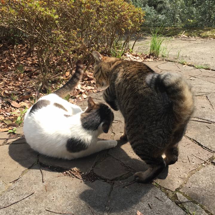 C5b914f7 40c5 4eb7 9bd4 67a010a397c4