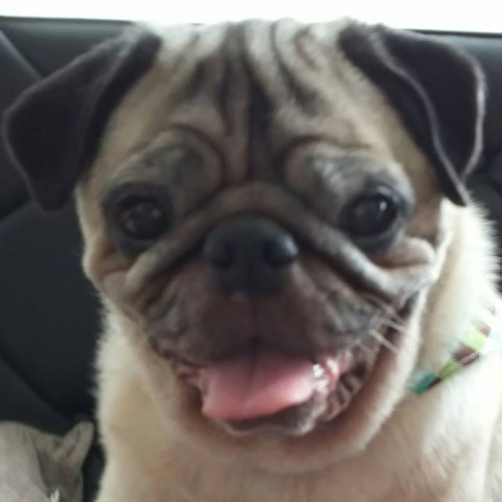 C5b9c5e5 6bab 42e9 b45a 7ef396b51b0c