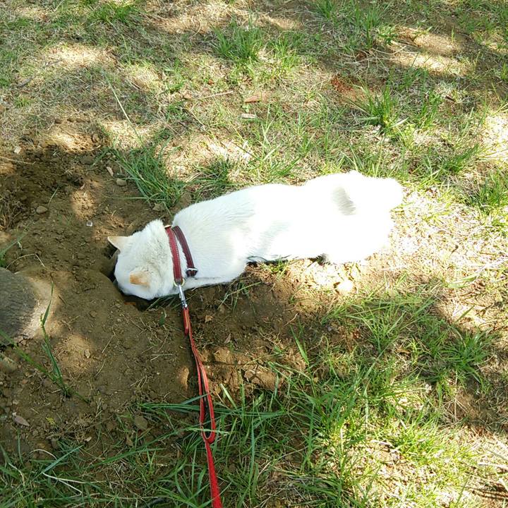 C5ba85bb 28fd 4b9d 8637 b5ade3fe80af