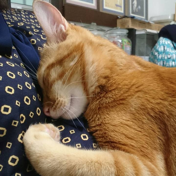 C5badfa7 314b 4115 a581 975176177905