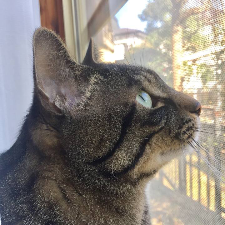 C5bae9ff 414b 4838 9ada 0fc6b686d49d