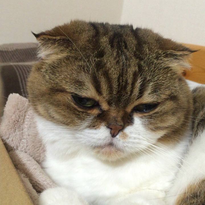 C5bb9555 d38e 4c80 acdd b5031cee8f73