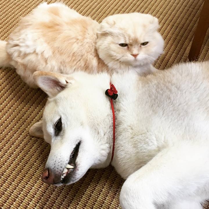 C5bbe079 b13f 4b01 936d 9ec76014aa7e