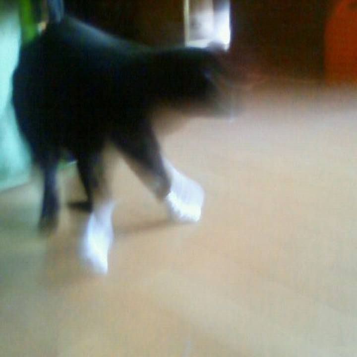 C5bc374e aa1d 444e 82bc cfa375b1a994