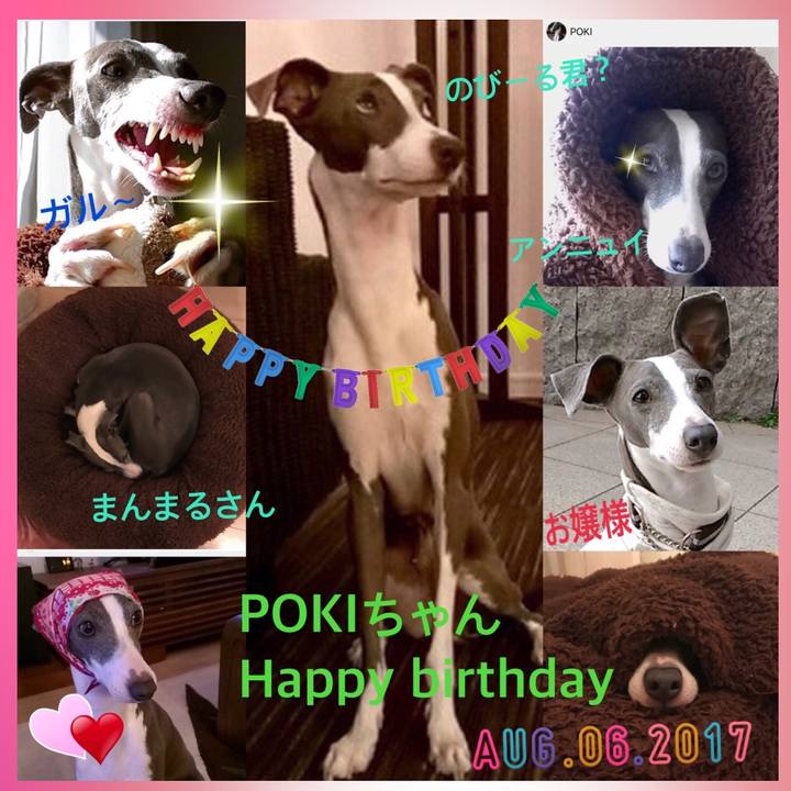 C5bc5bf4 db6d 4267 b0f7 4d7d4db6aa2c