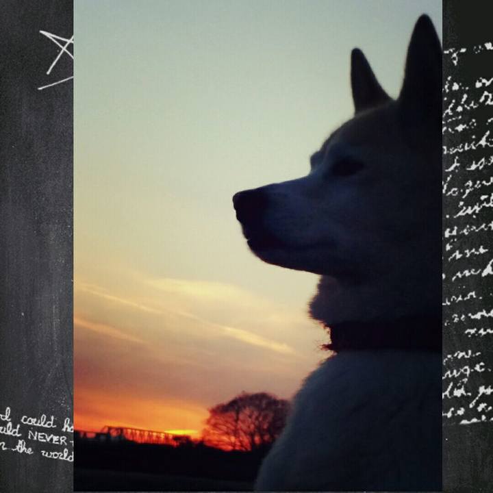 C5bcc3ed b7a6 4419 88fb 19397c0bd169