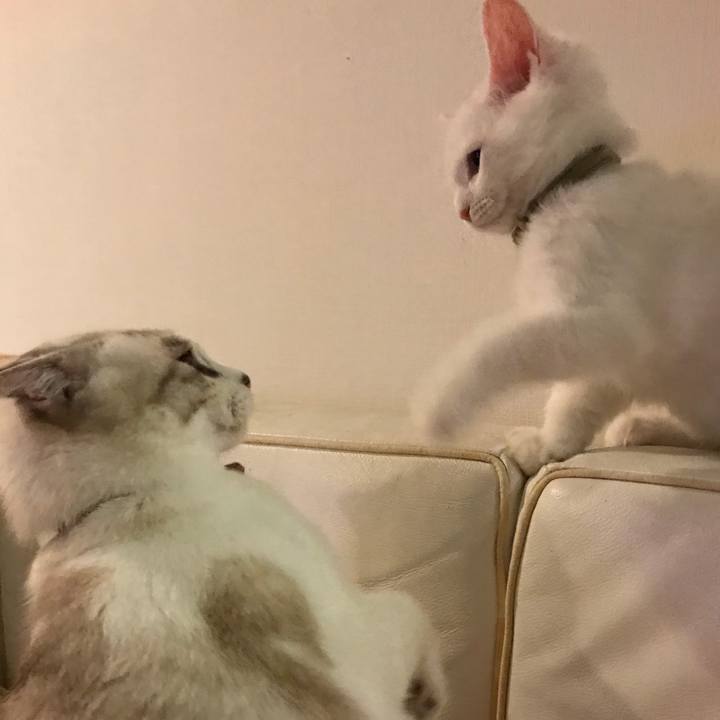 C5bcf928 275b 46b0 9b1d 55e1a02b4254