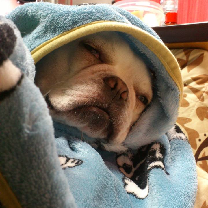 C5bd4297 7252 4019 87ef 01d10e70e49b