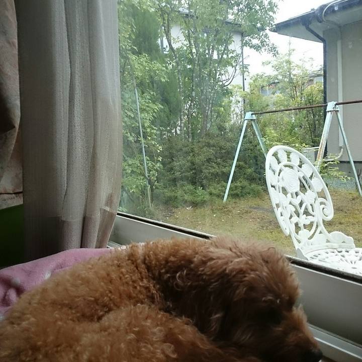 C5be0157 8193 49da 8663 8fa8416d43ba