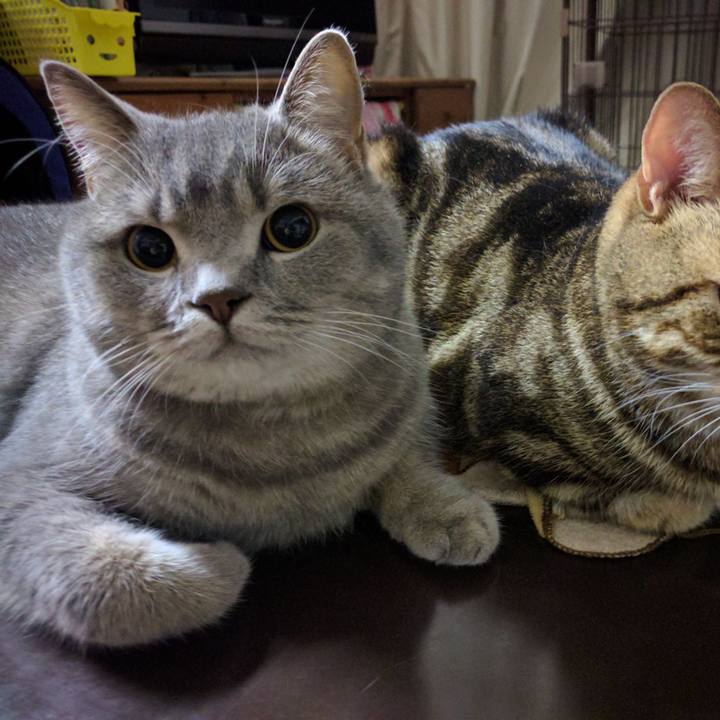 C5bf17fb a153 4021 8fa3 4a35da505546