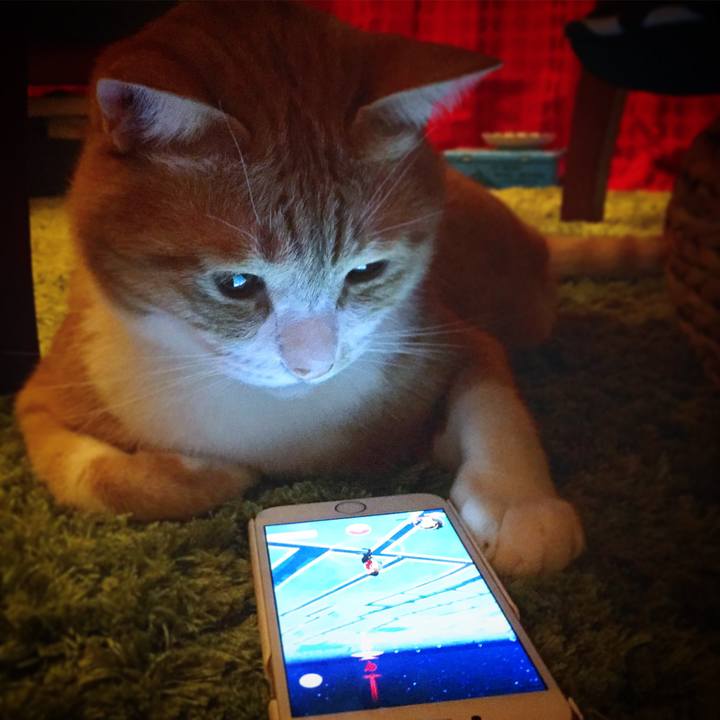 C5bf1a46 5817 4d7a b5d0 9d60b0250cc0