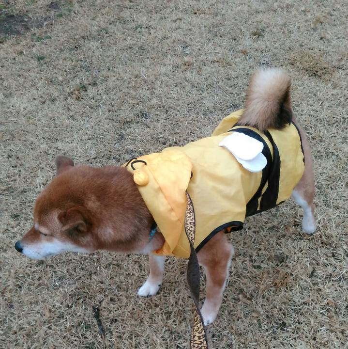 C5bfa29f 79a9 4f4b 9f9e 29718f46e8d8