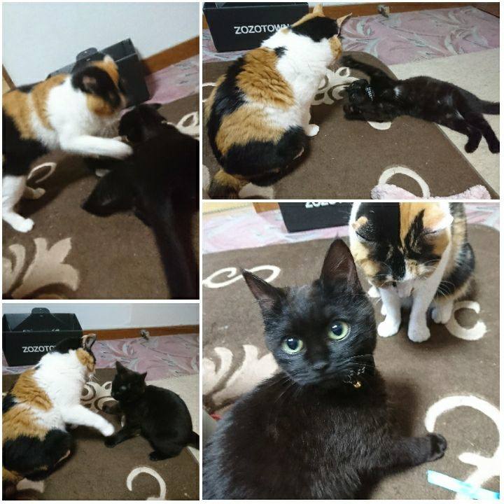 C5bfdc2e efa6 4543 983e a490d8b369d9