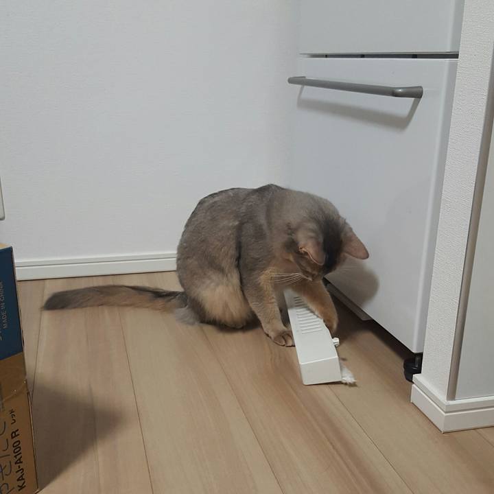 C5bff002 a28f 4740 856b 9c3c9256bcfa