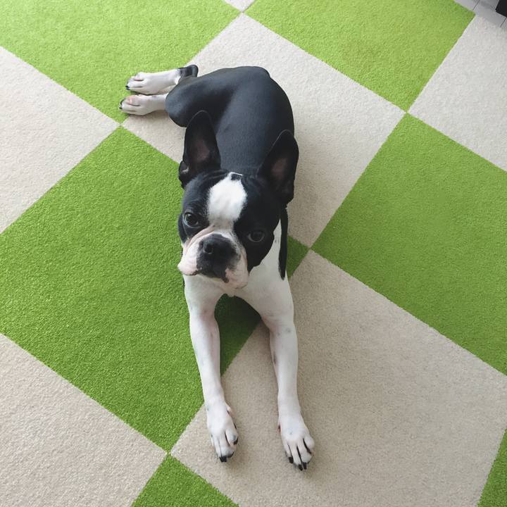 C5c02b24 ec6a 46ef 9fa5 a24ca20f13db