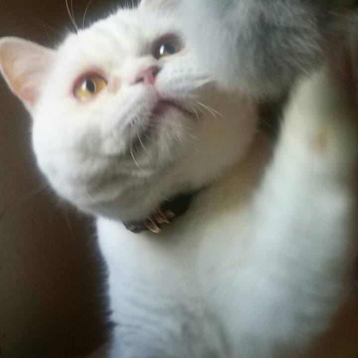 C5c052c5 e013 4559 bbe9 8c03bd7e8901