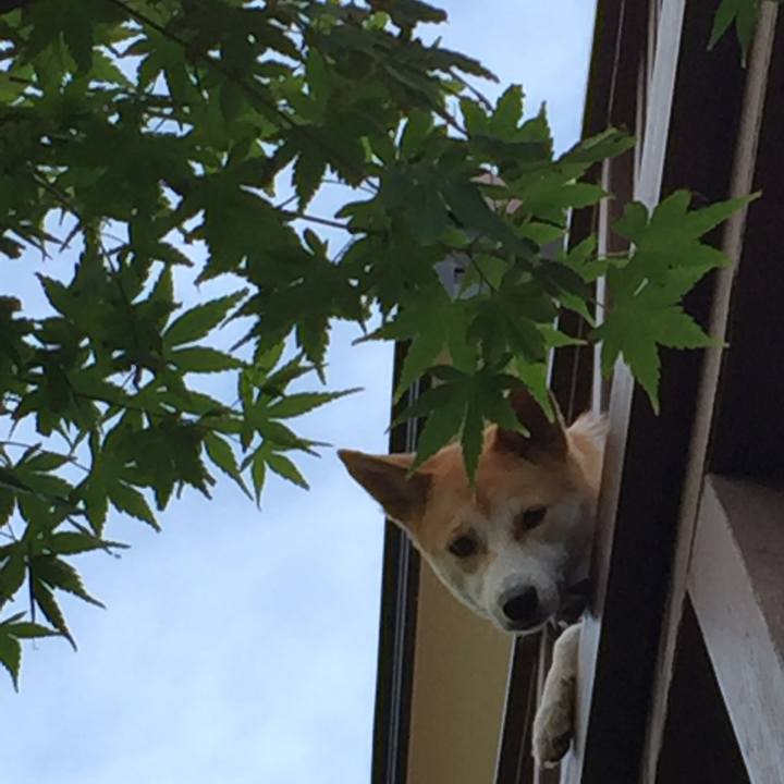 C5c06d15 eceb 4e85 ad61 fd00556b3f02