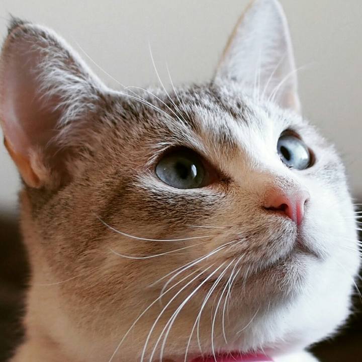 C5c0af22 7287 4201 9a67 91f1c1cca22a