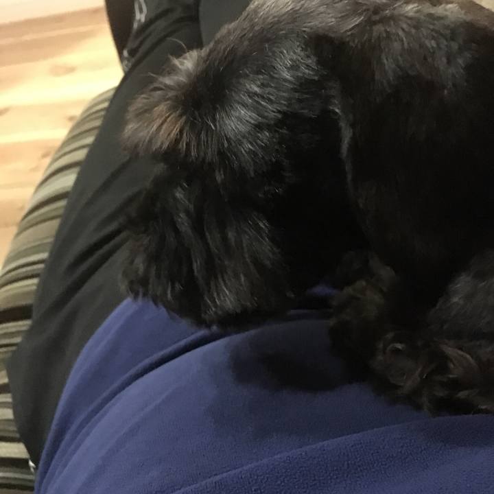 C5c0e3d9 b721 4f6d 8aa9 d1c5b75cb735