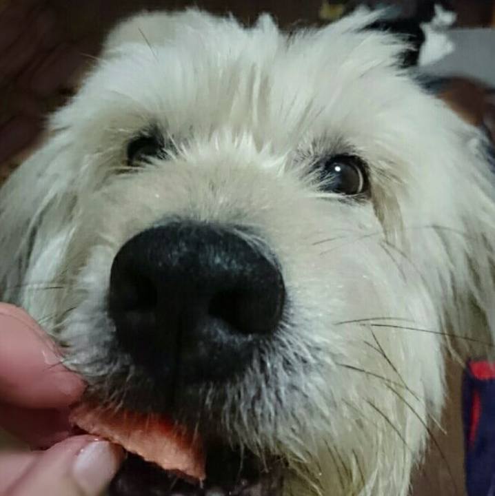 C5c10e1f 33b1 409a b1bb 3548639baa91