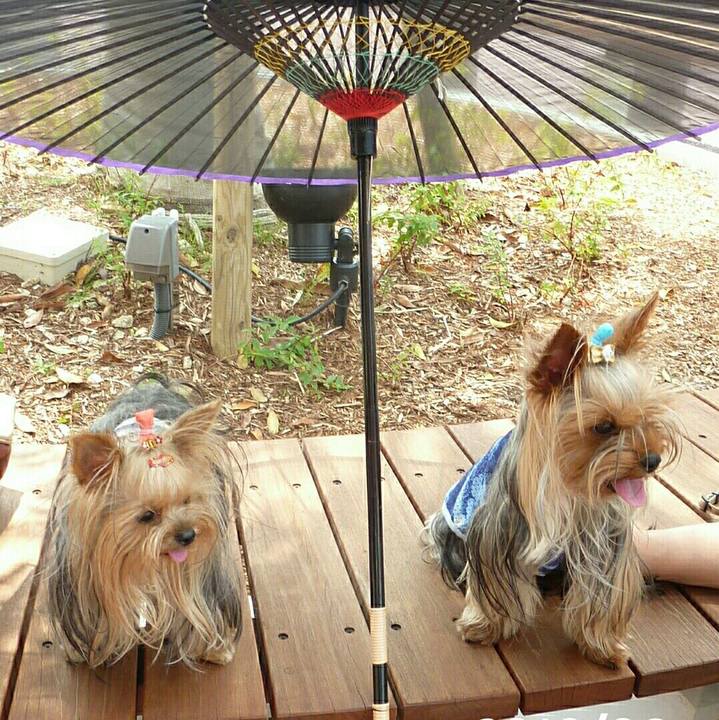 C5c14197 d76b 4aa3 af56 d8c8e1a84535