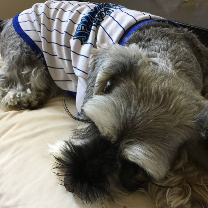 C5c19dc3 a2ce 47a7 af62 6e326c88bda3