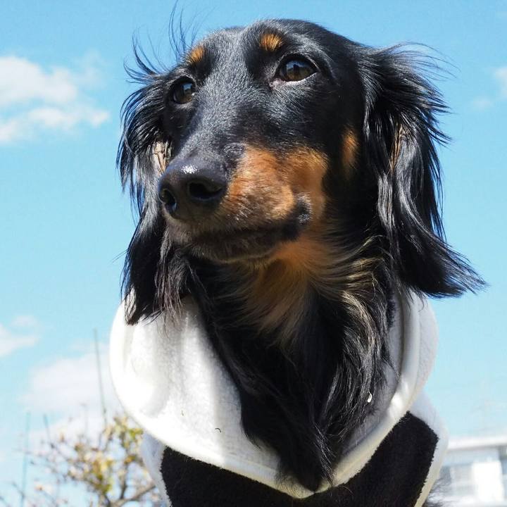 C5c25059 584a 4be1 9f9a f3a614351c4e