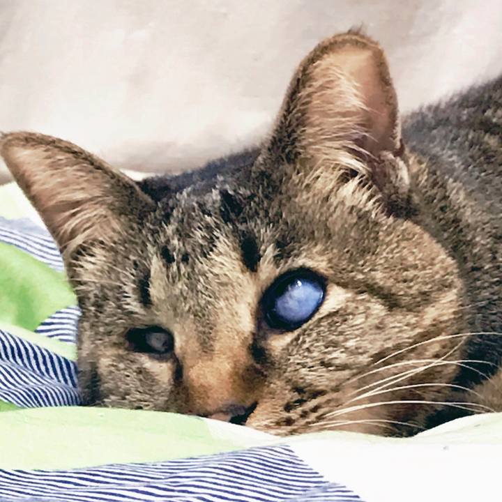 C5c265dc 4ec1 42d5 be28 3ab36dcb8790