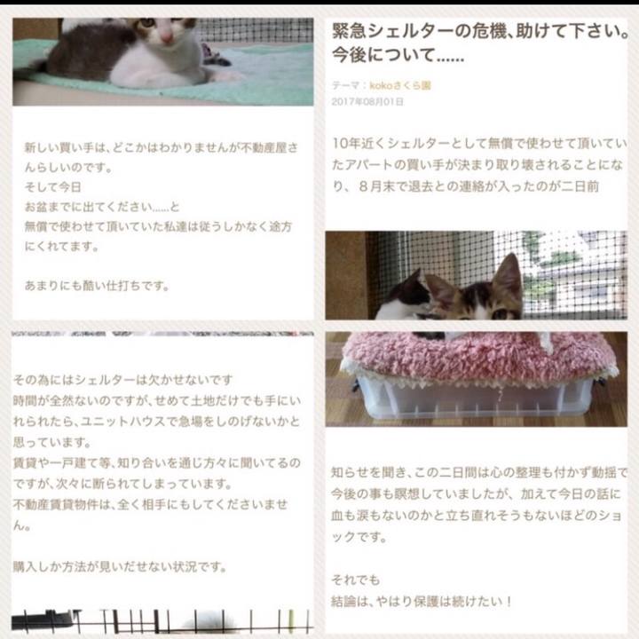 C5c3bd4f f9c5 44a5 ad5f c686d2c55fa6