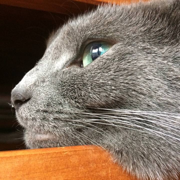 C5c3d201 594c 453b 8e5d bfb915fa79b0