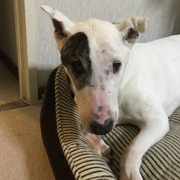 C5c59961 f5e4 4493 ae37 948221f56d94