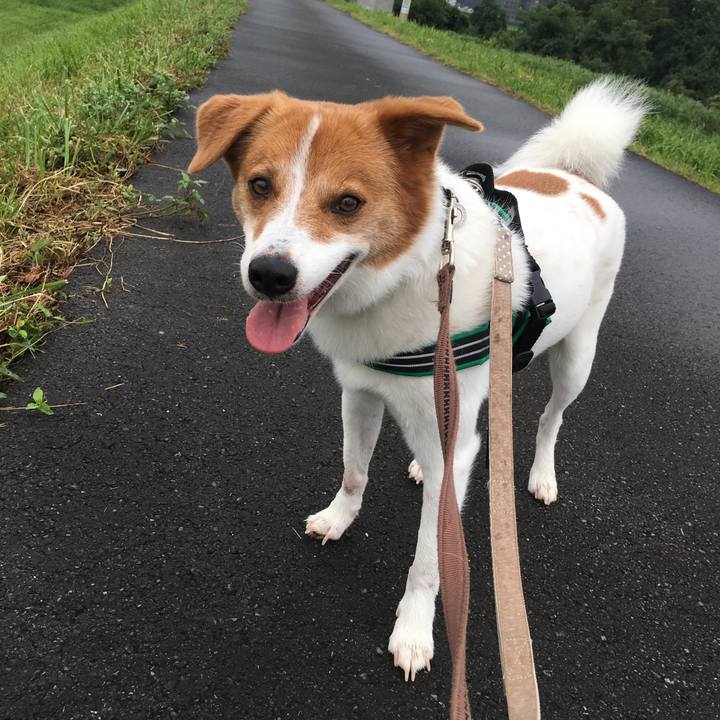 C5c6a2df b378 4dd4 9b21 a2861e9621ce