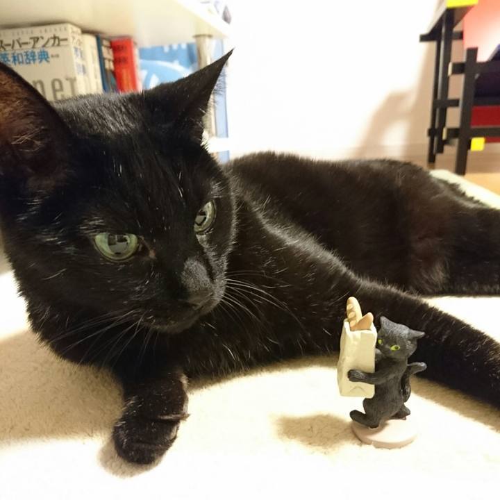 C5c7130c c95f 4ae5 8122 12645de336c6