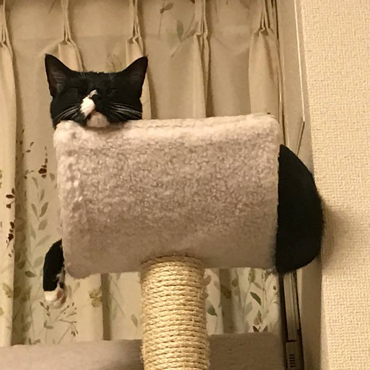 C5c74c28 7932 417e abd8 80cedeccea75